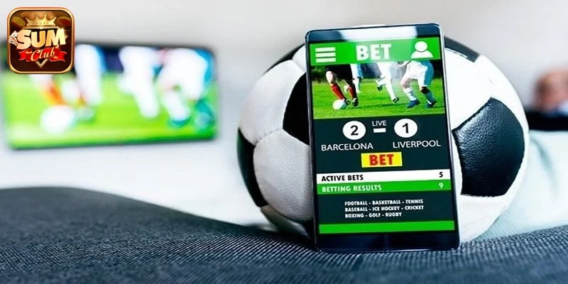 Cách tránh website giả mạo Sumclub an toàn và hiệu quả nhất 2 Cách tránh website giả mạo Sumclub - tổng quan 2026